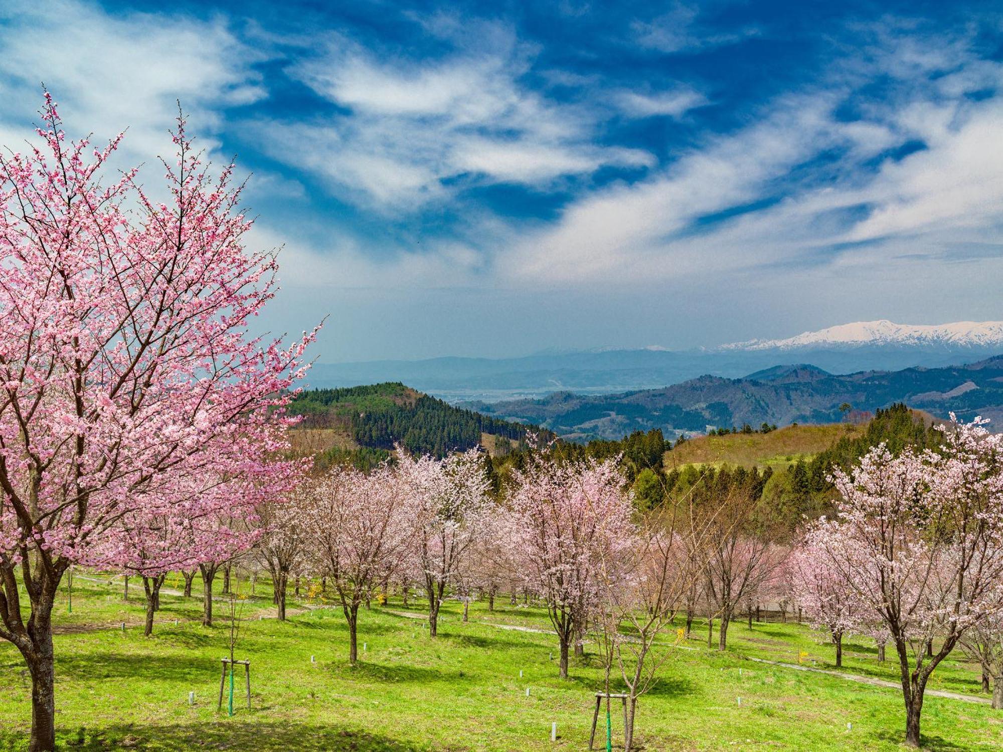 Urabandai Lake Resort Goshiki No Mori Kitashiobara Exteriér fotografie